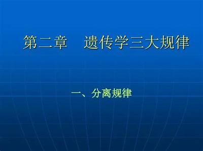 网络游戏投资与网络技术研究 虚拟世界中的财富机遇